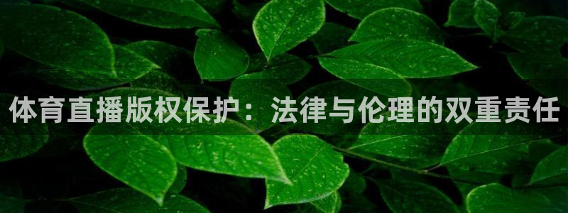 体育直播版权保护：法律与伦理的双重责任